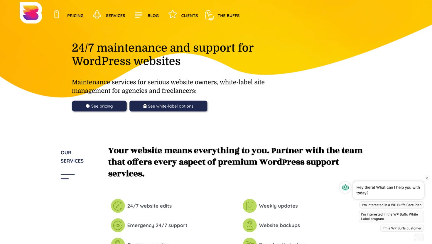 wpbuffs, Website Maintenance